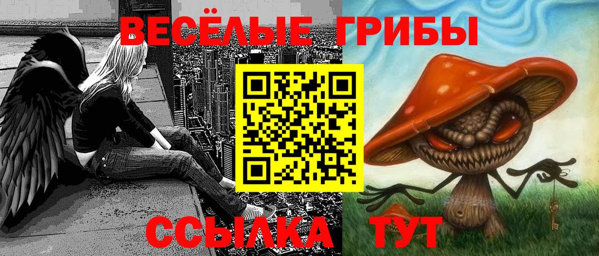 Галлюциногенные грибы GOLDEN TEACHER Электрогорск