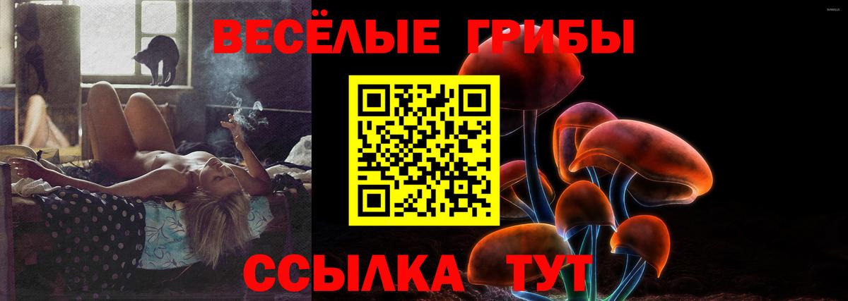 Псилоцибиновые грибы GOLDEN TEACHER  закладка  Электрогорск  Вход с VPN 