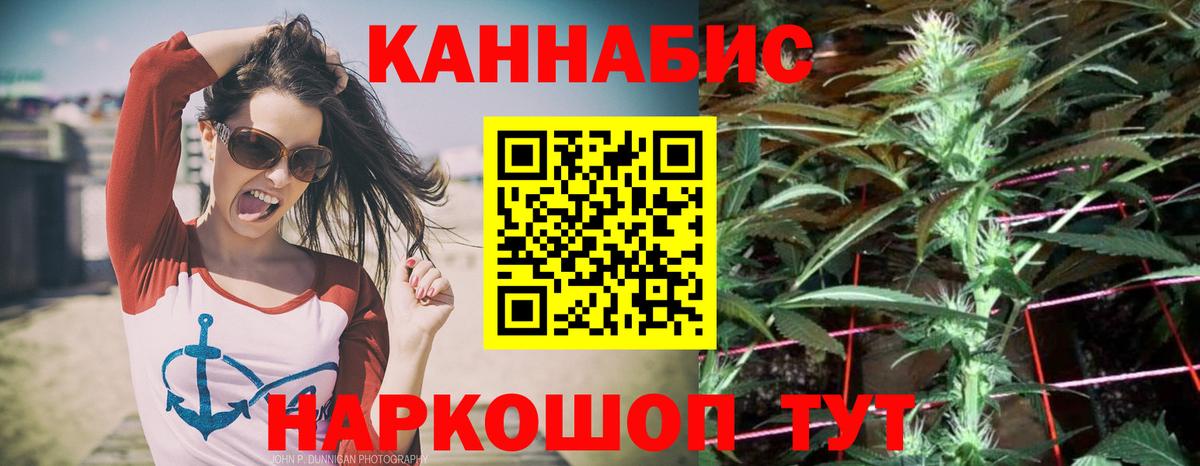 Шишки марихуана планчик  Вход с VPN  Электрогорск  Канабис тримм 